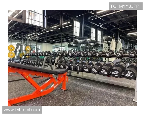 赵磊独家分享篮球心得与技巧助你提升球技的全面指南